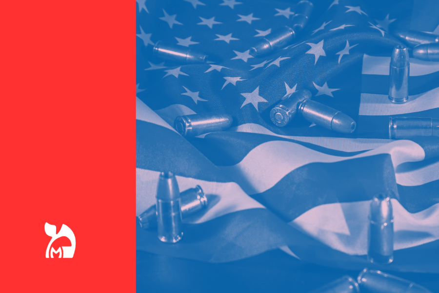 Biting the bullet: political violence in America