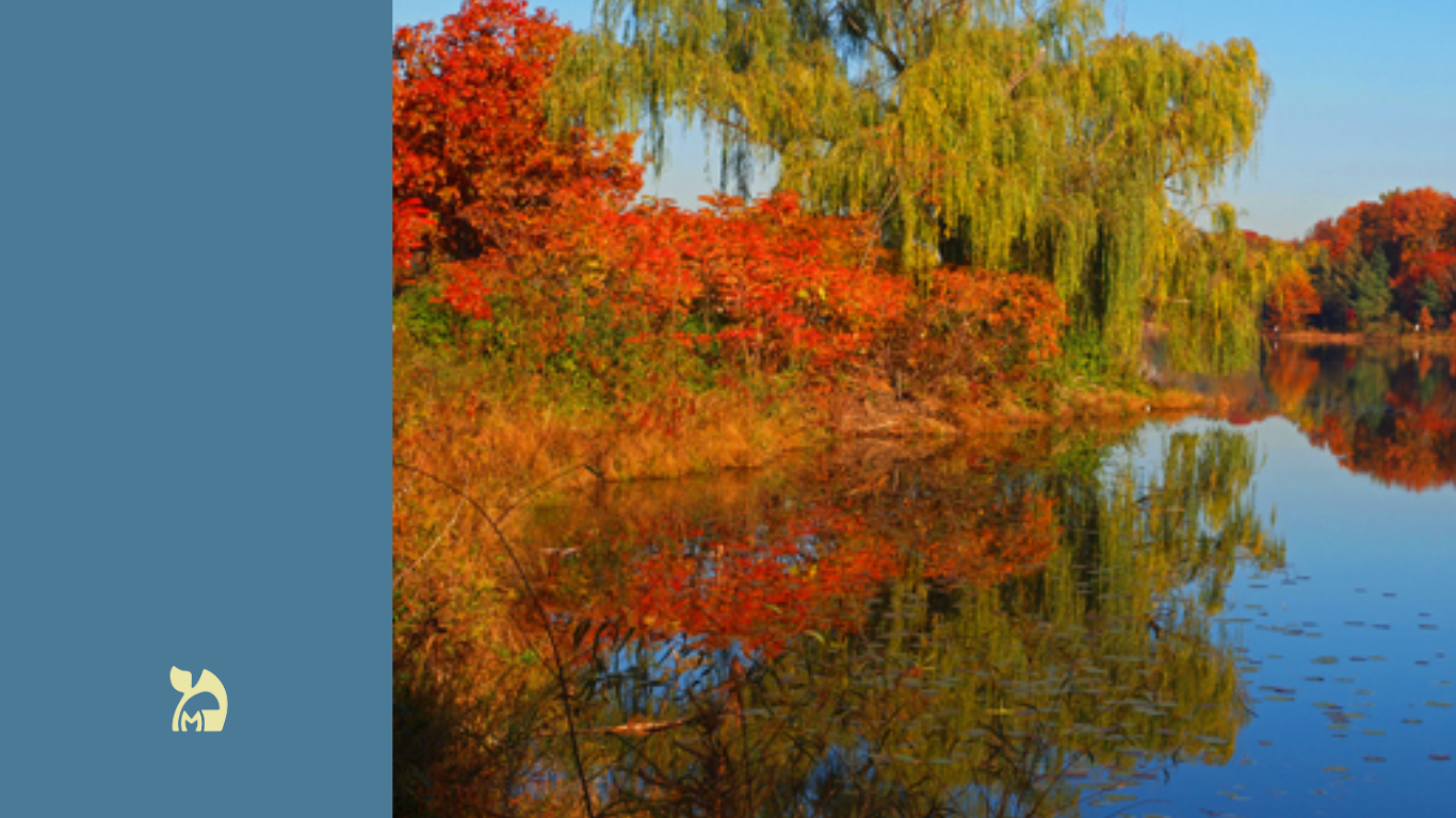 There’s a body near Lake Artemisia… and it’s not the first time